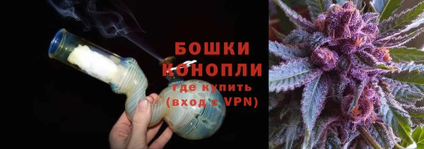 apvp Каменка