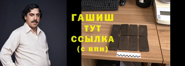 apvp Каменка