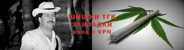 apvp Каменка