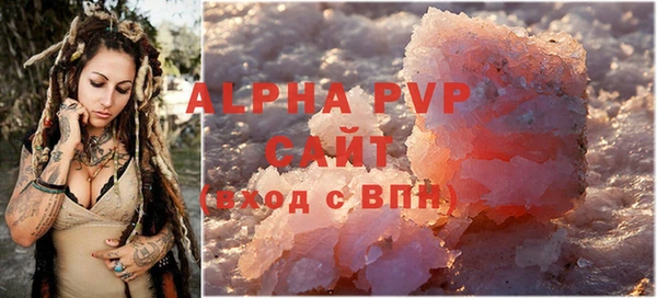 apvp Каменка