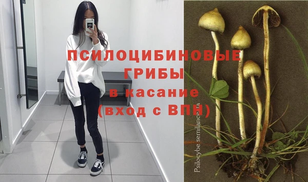 каннабис Каменск-Шахтинский