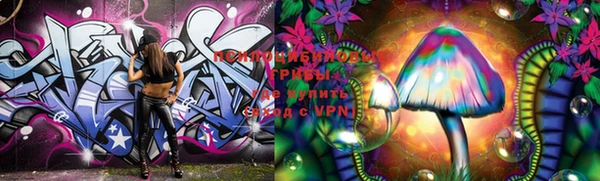 apvp Каменка