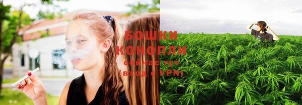 apvp Каменка