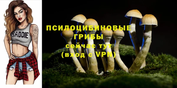 COCAINE Каменногорск