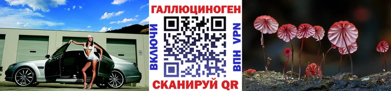 Купить  Богородск  Галлюциногенные грибы Magic Shrooms 